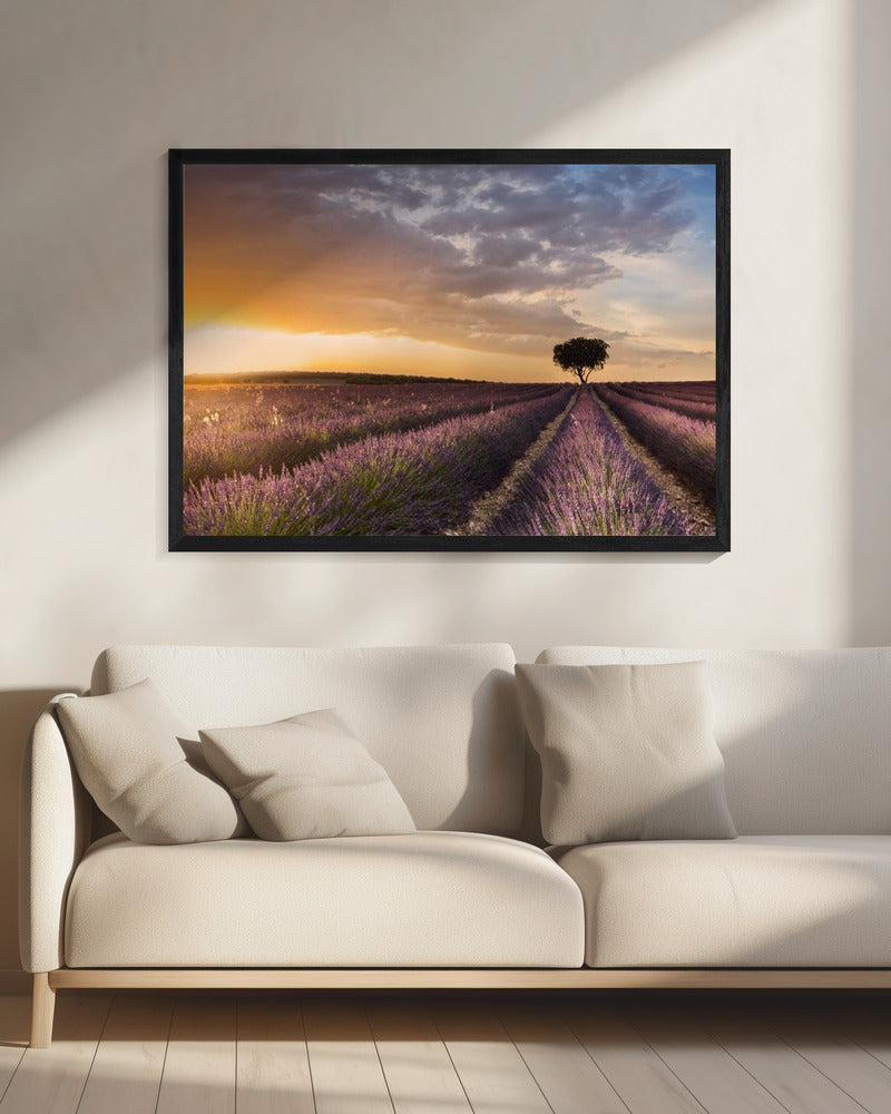 BESTEMMING LAVENDEL | Canvas
