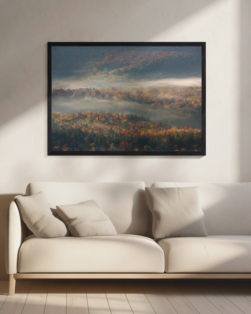 Mistige ochtend | Canvas