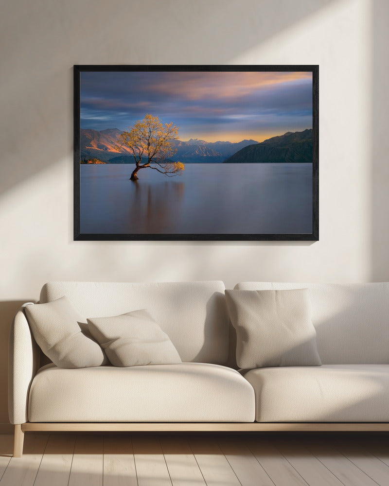 Morning Glow | Canvas