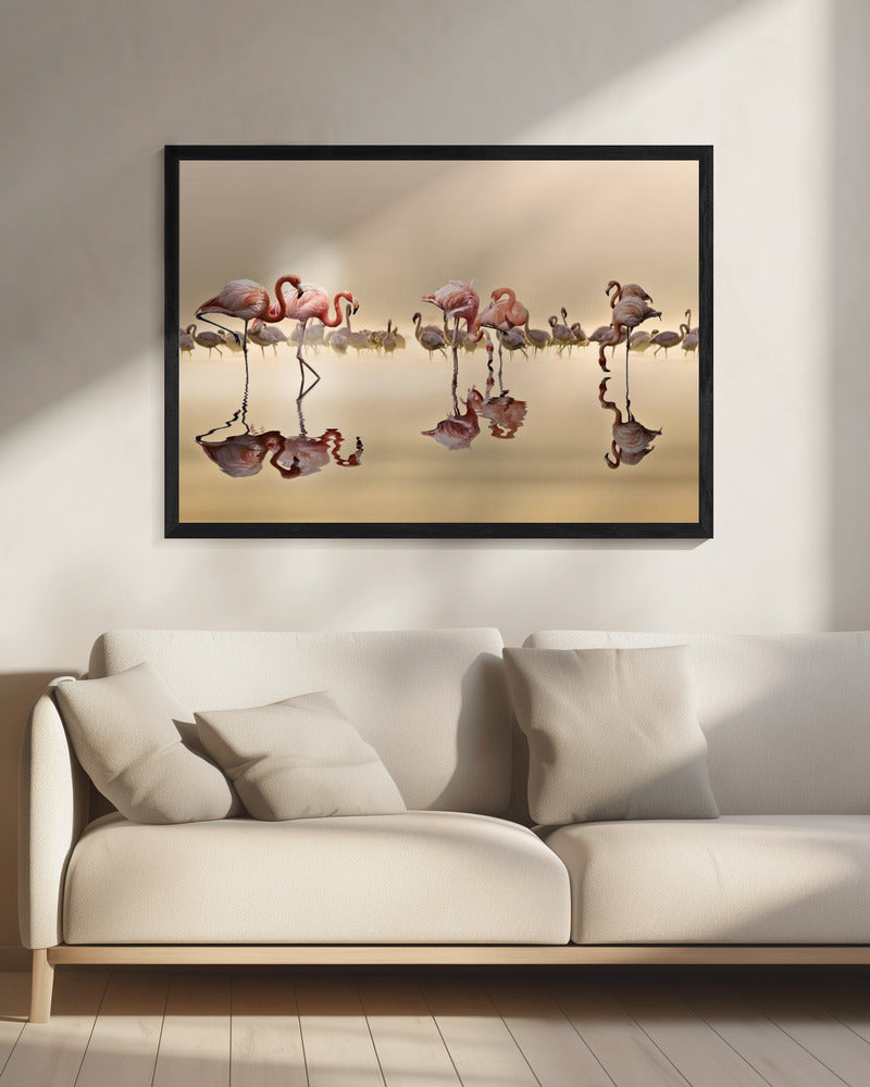 FLAMINGO'S | Canvas