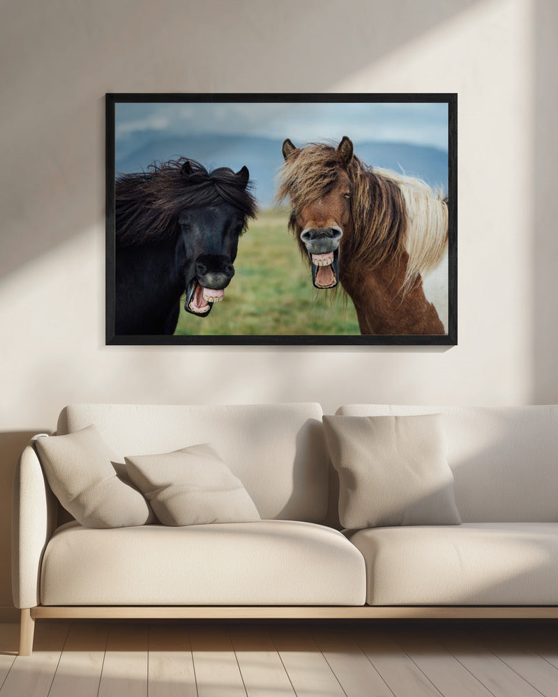 WILDE GLIMLACH | Canvas