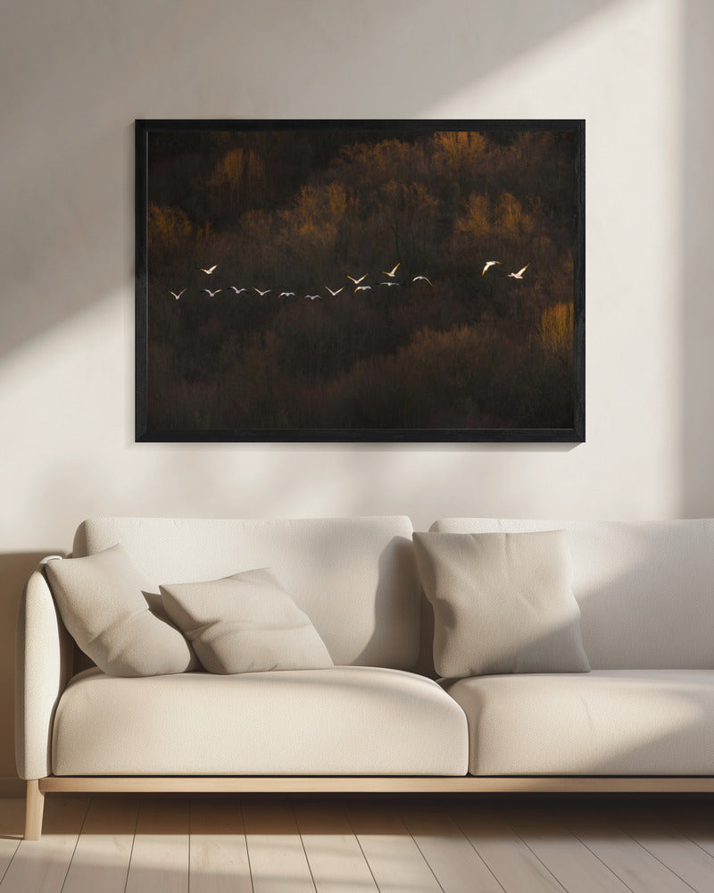 Ochtendstemming | Canvas