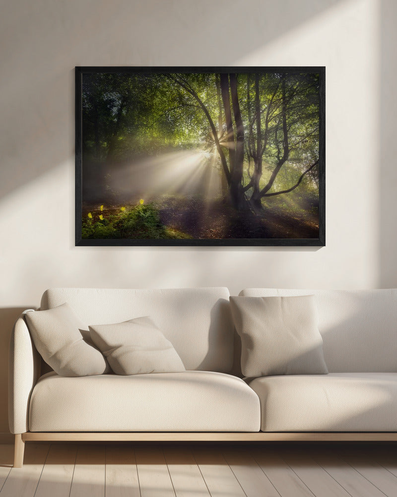 Het ochtendlicht | Canvas