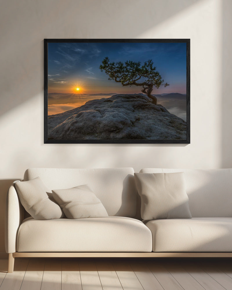 Oud grenen | Canvas