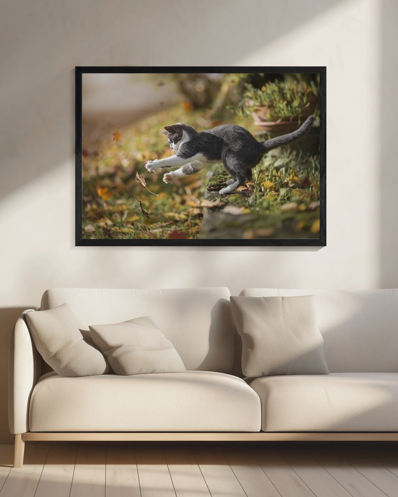 Herfstspel | Canvas