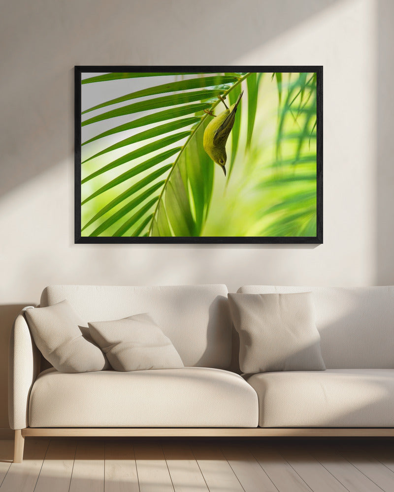 50 tinten groen | Canvas