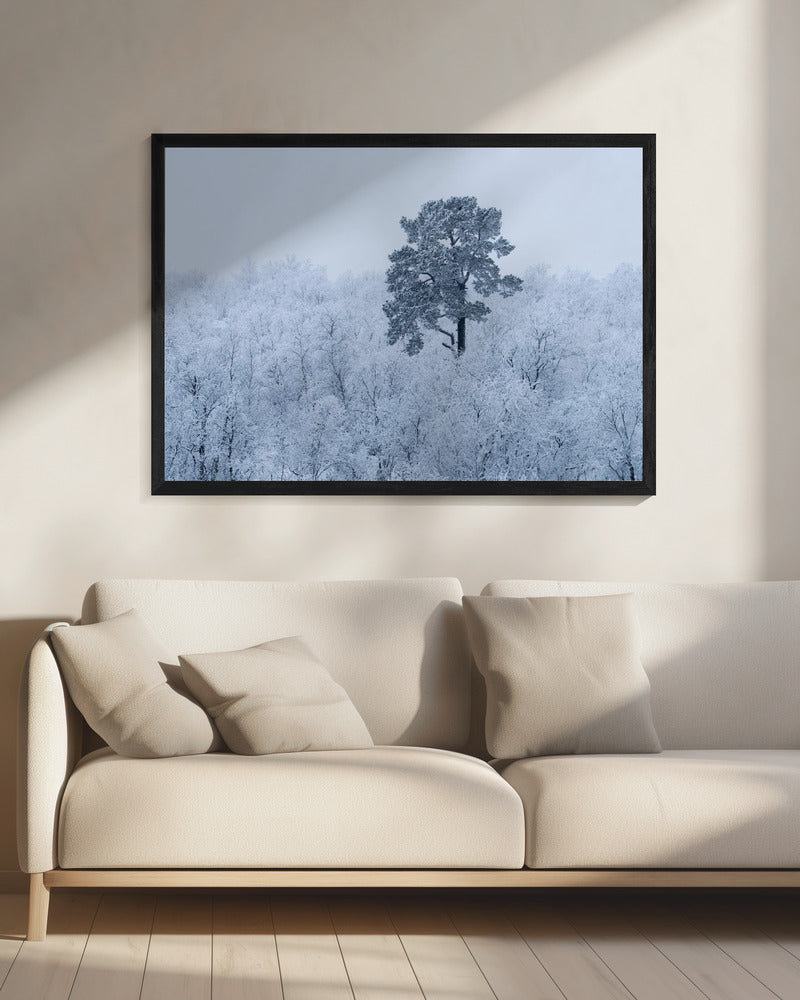 Eerste sneeuw | Canvas