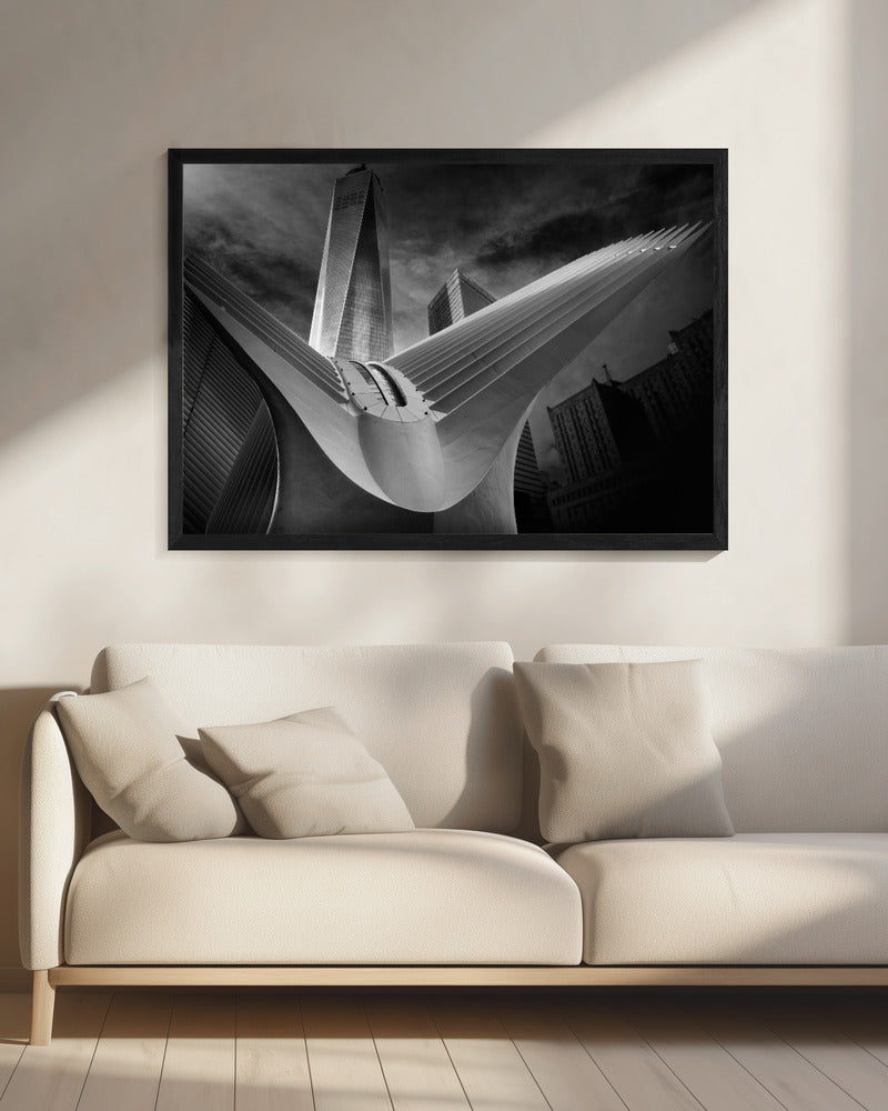 Oculus #01 | Canvas