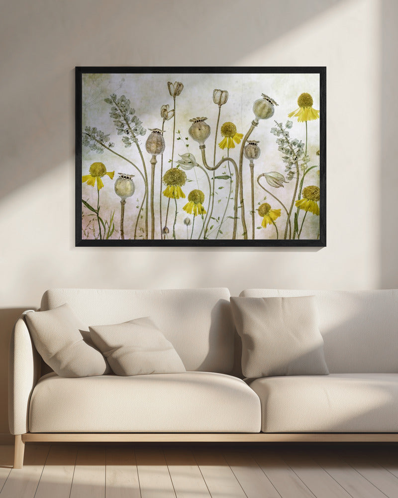 Klaprozen en Helenium | Canvas