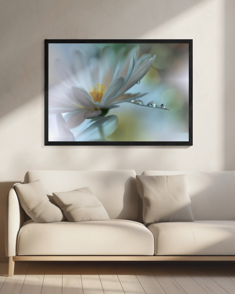 Lichte aanraking... | Canvas