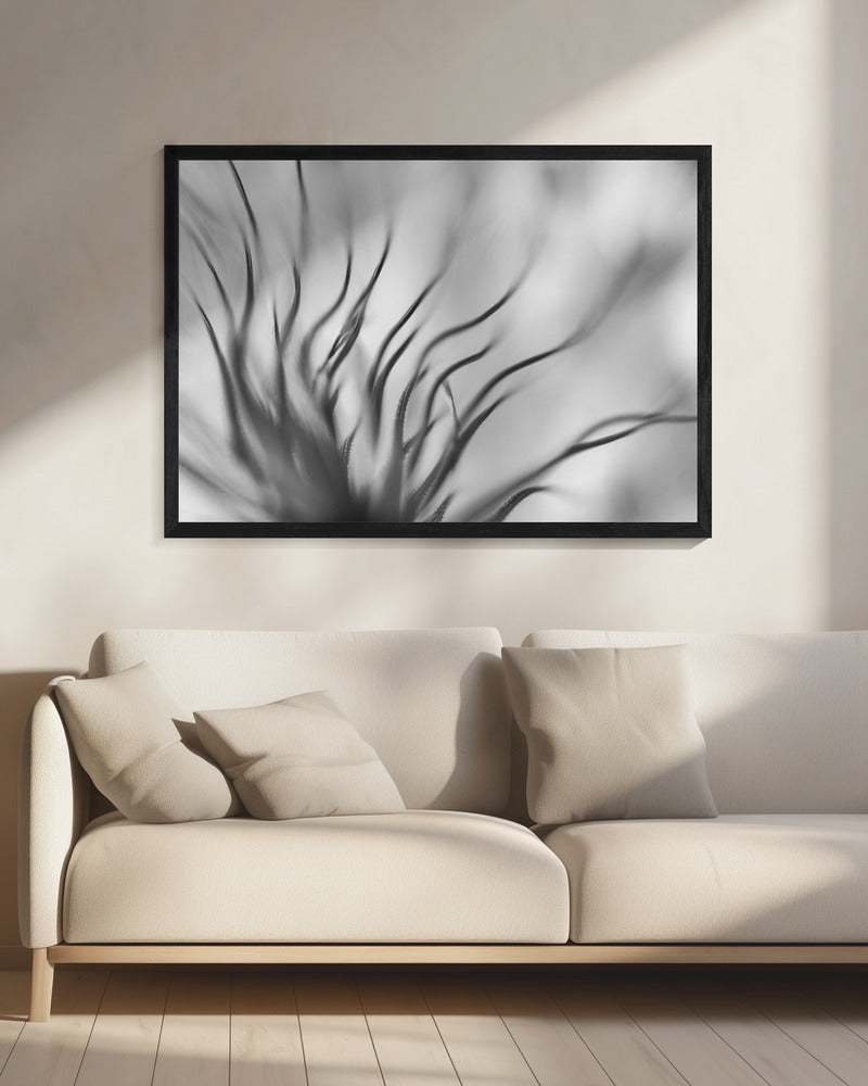 Untitled | Canvas