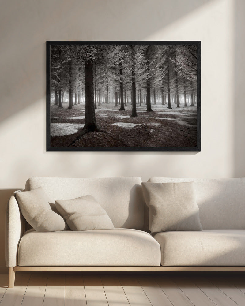 Het begin van de winter | Canvas