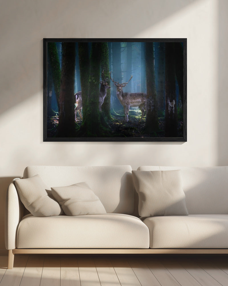 Herten | Canvas