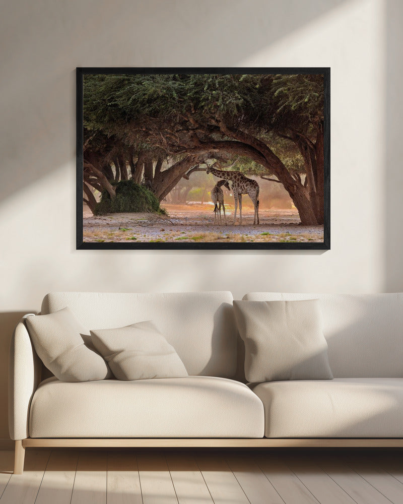 Giraf - Namibië | Canvas