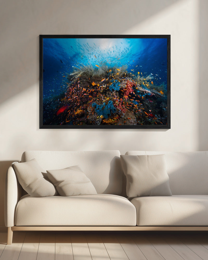Apneu | Canvas