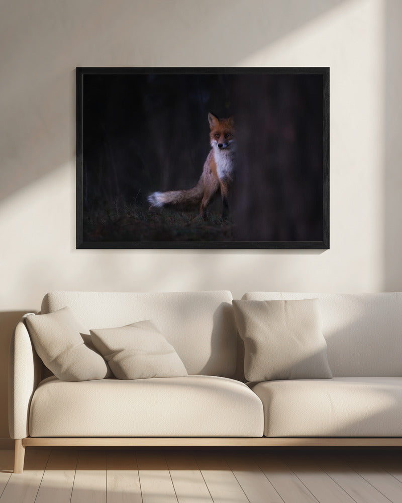 Blikken | Canvas