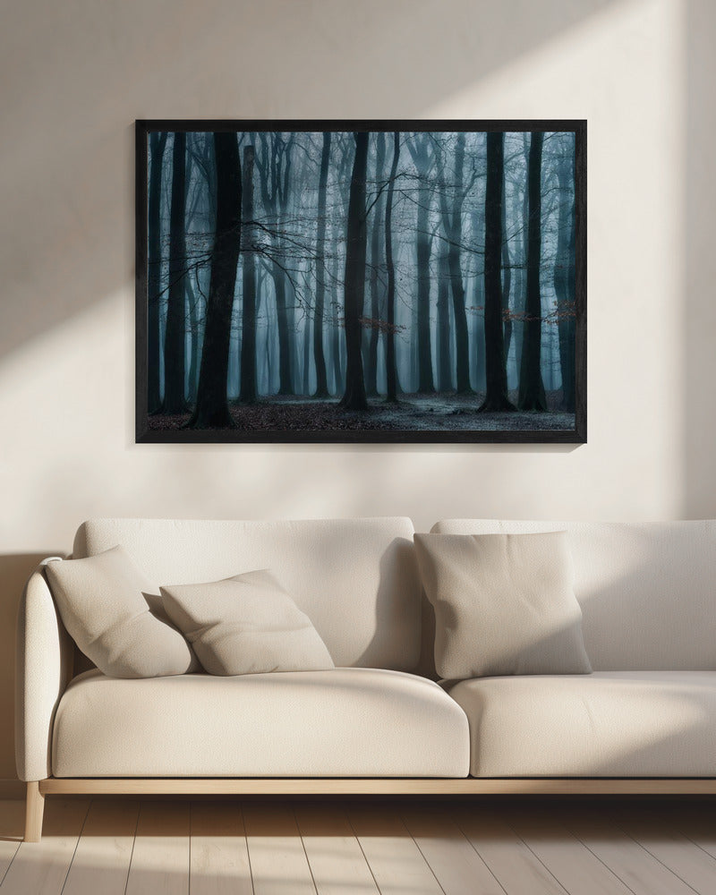 Wij allemaal | Canvas