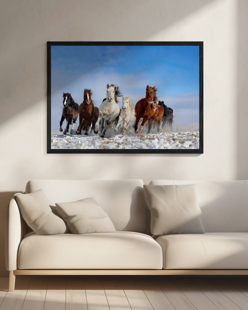 Mongoolse paarden | Canvas