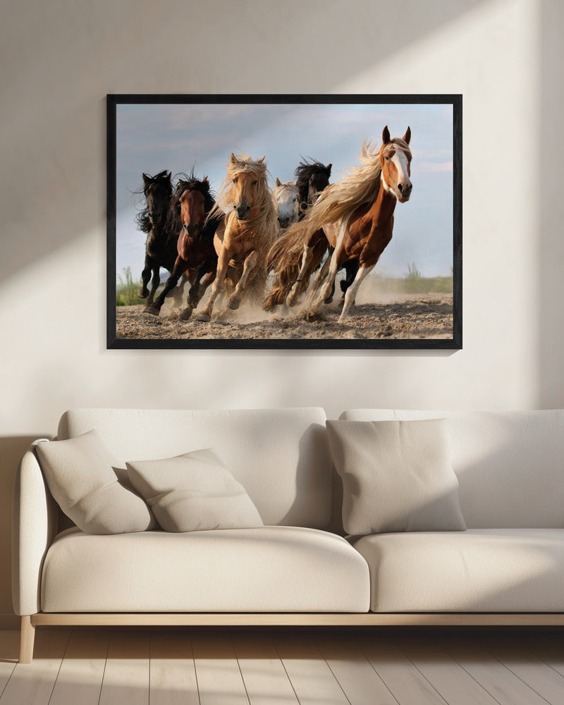 Lucky Six | Canvas
