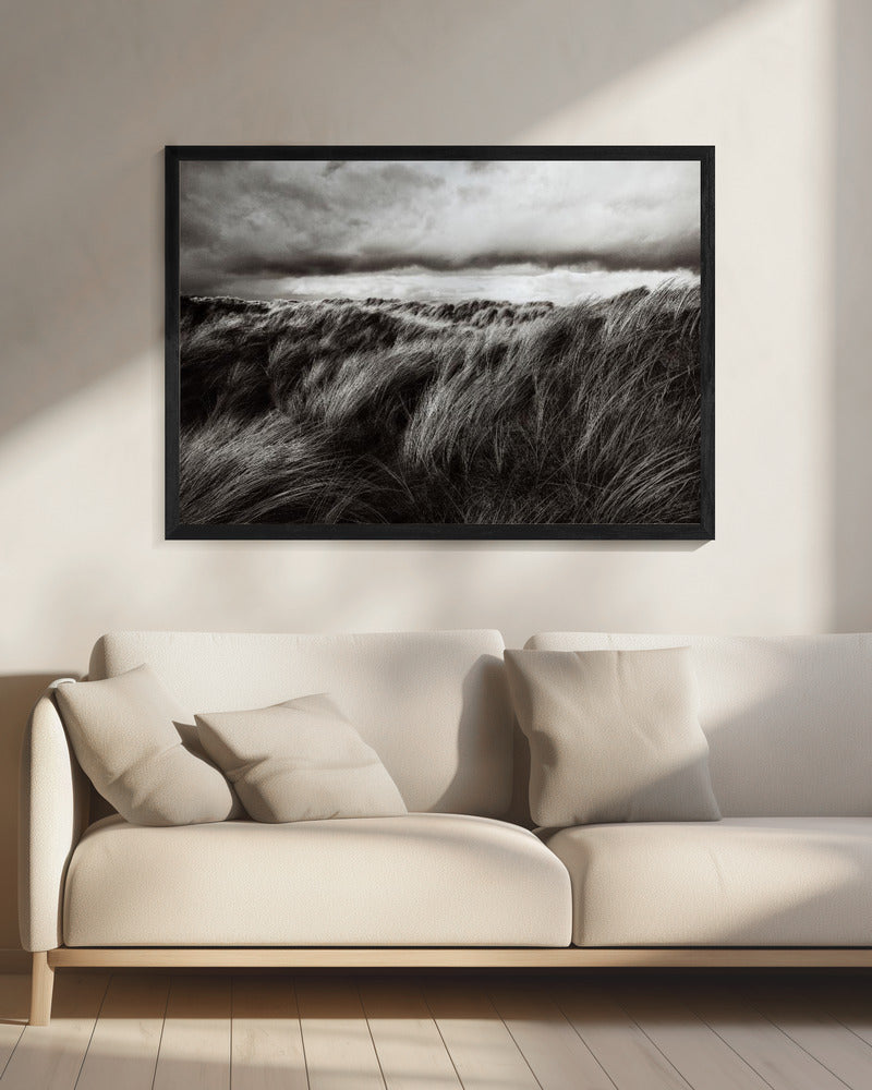 Duinen van gras | Canvas