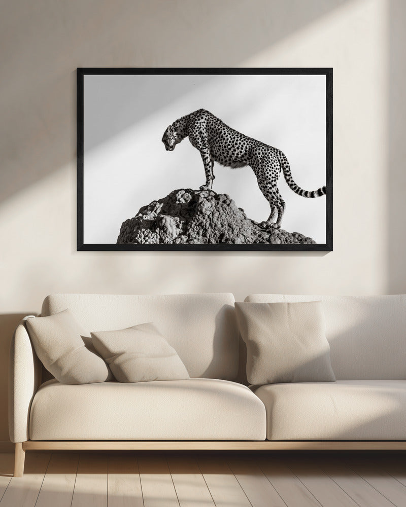 de jager | Canvas