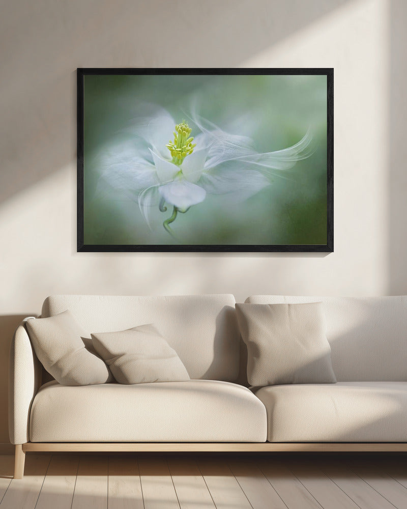 Mystical | Canvas