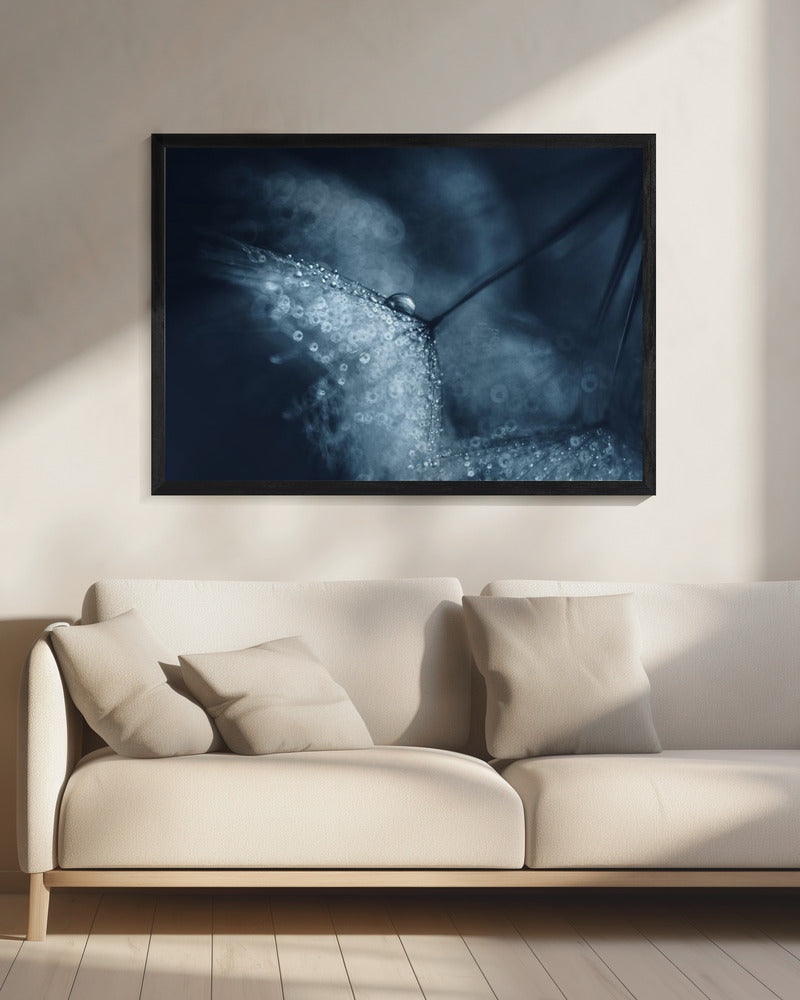 Blauwe paardenbloemen | Canvas