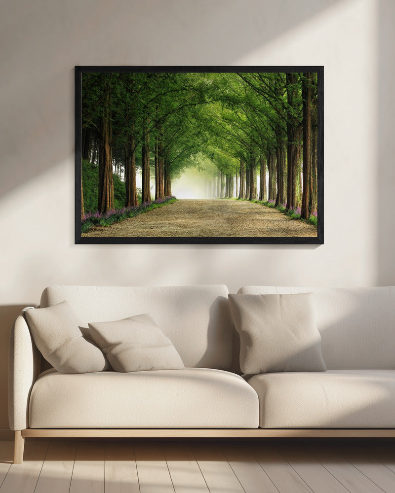 Metasequoiaweg | Canvas