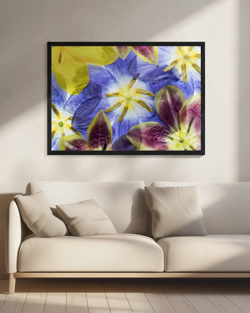 Tulpen | Canvas