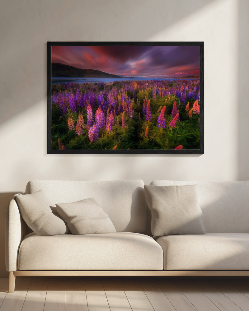 Lente Rush | Canvas