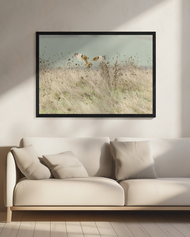 Jacht op velduil | Canvas