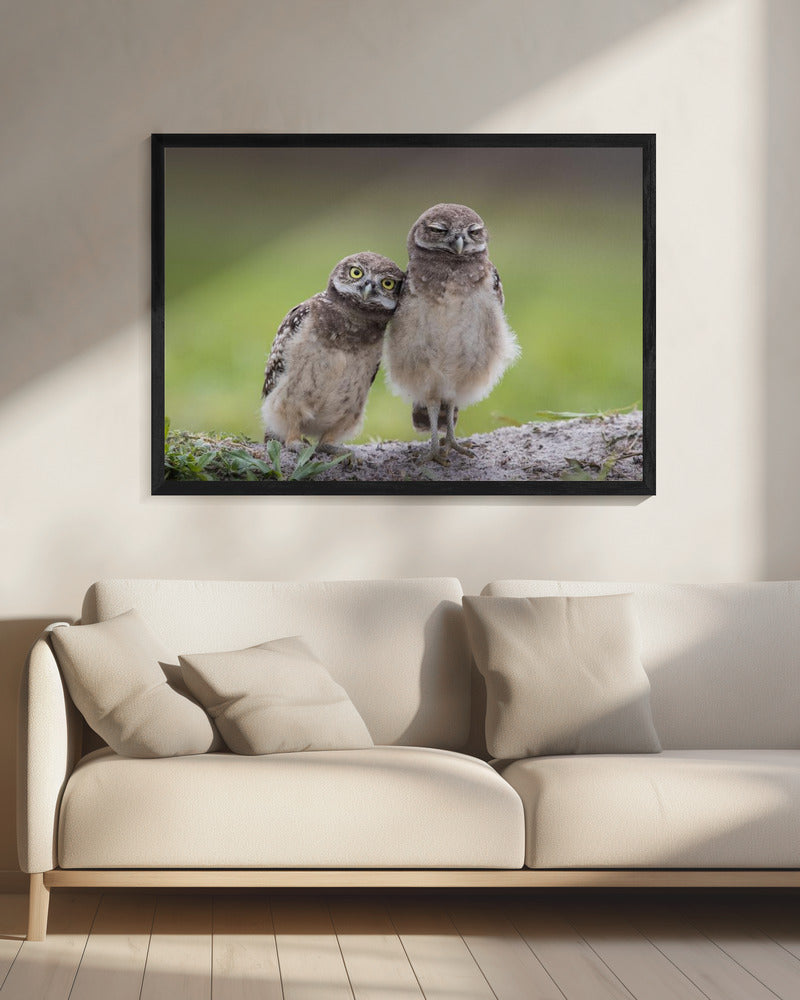Vrienden | Canvas