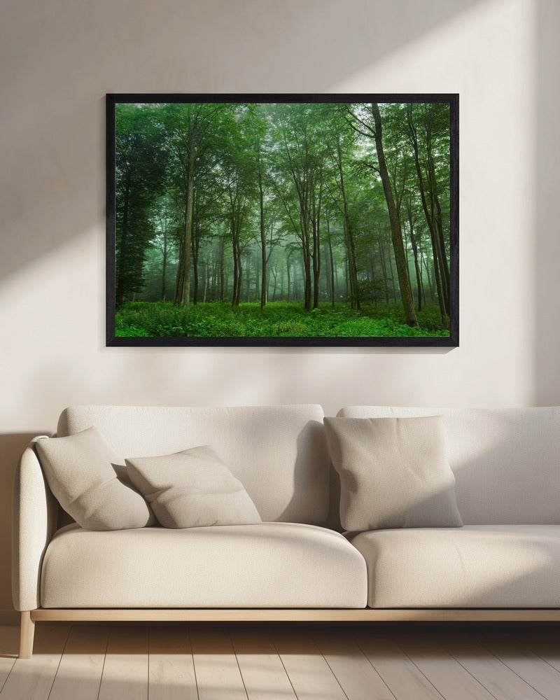 Boszicht | Canvas