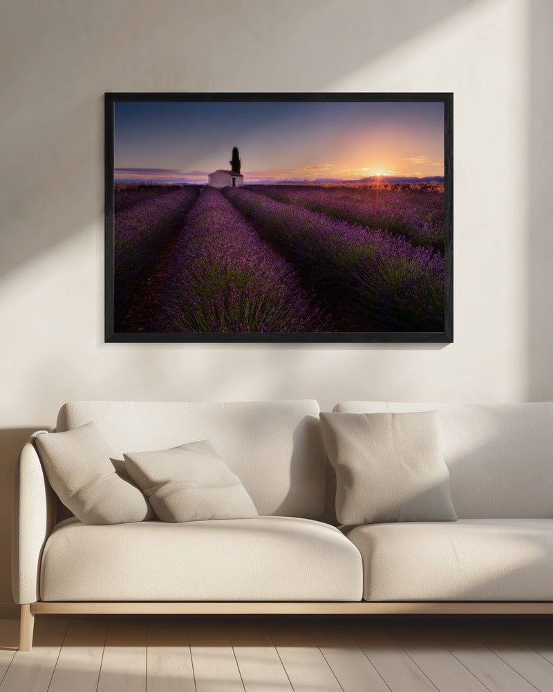 Provence Lavendel | Canvas