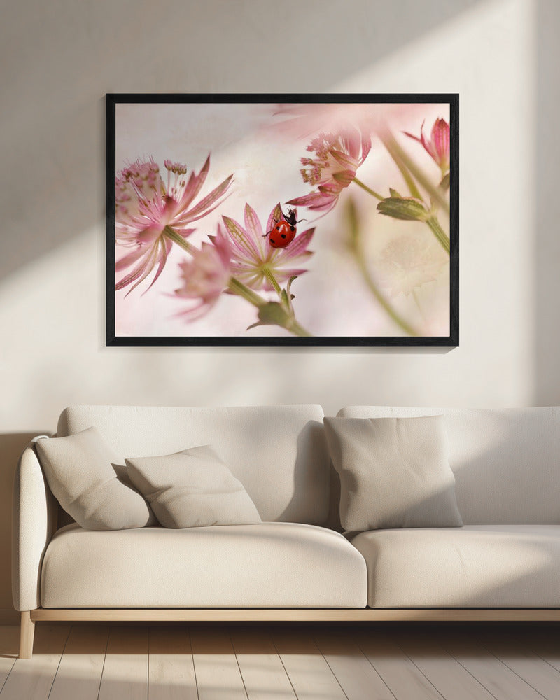 Lieveheersbeestje en roze bloemen | Canvas