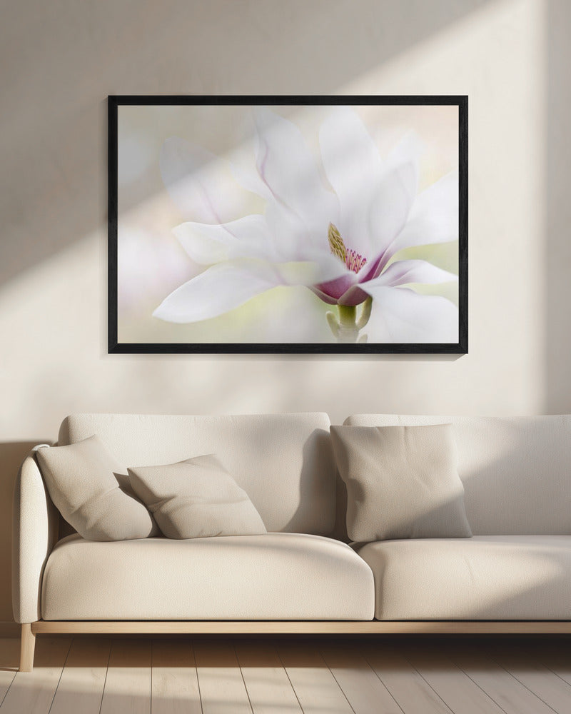 Zuiverheid | Canvas