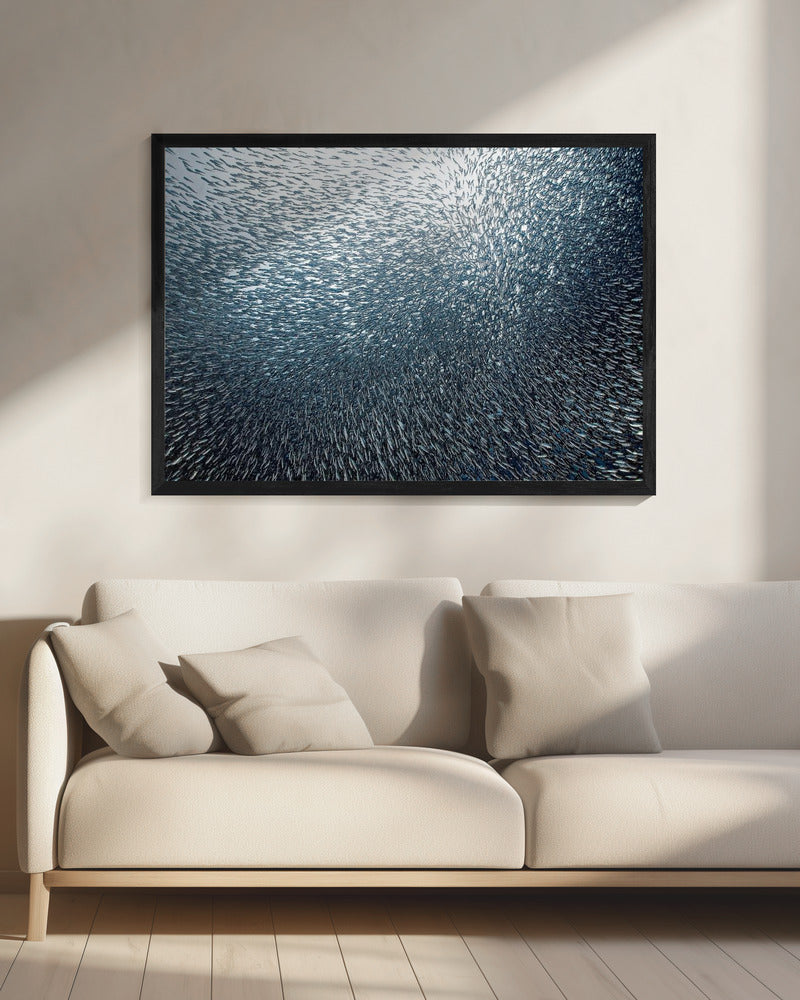 Sardientjesvuurwerk | Canvas