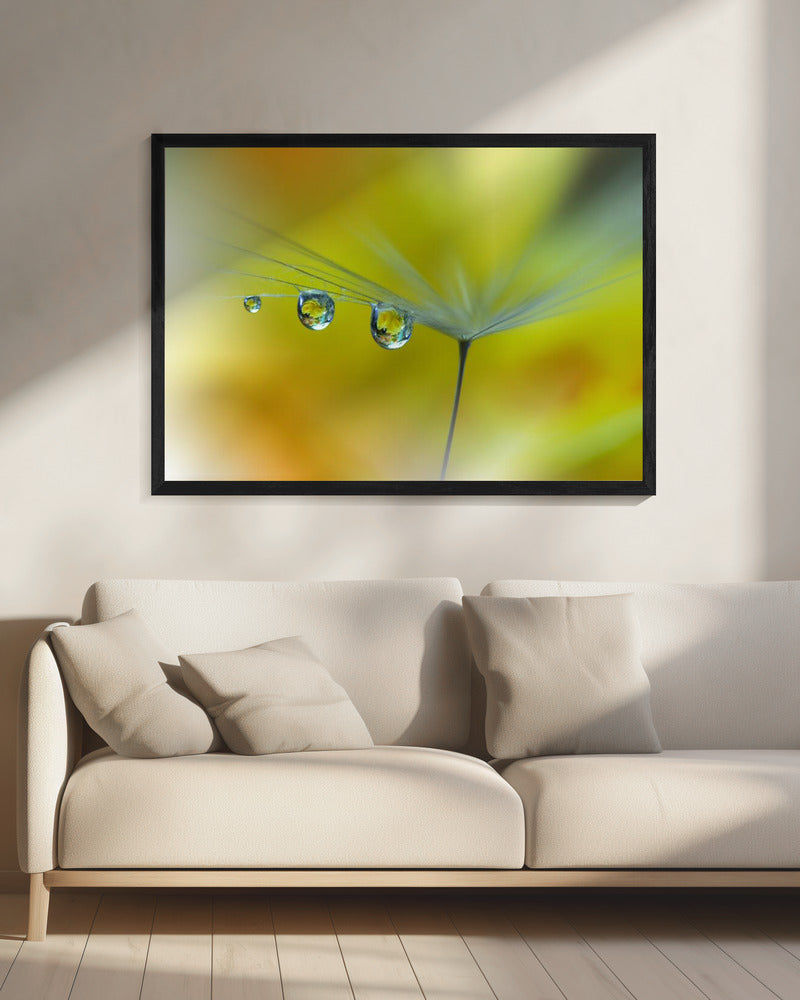 Zonnestraal...III | Canvas