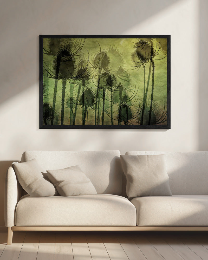 Wilde Kaardebol | Canvas