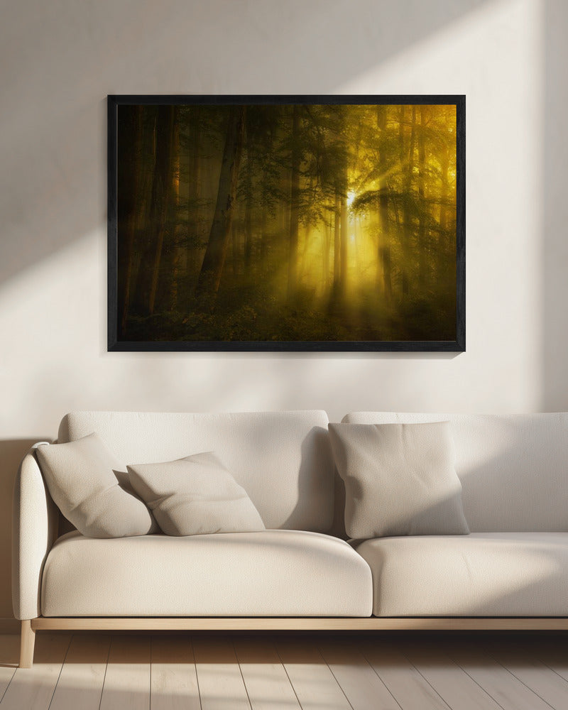 Geel | Canvas
