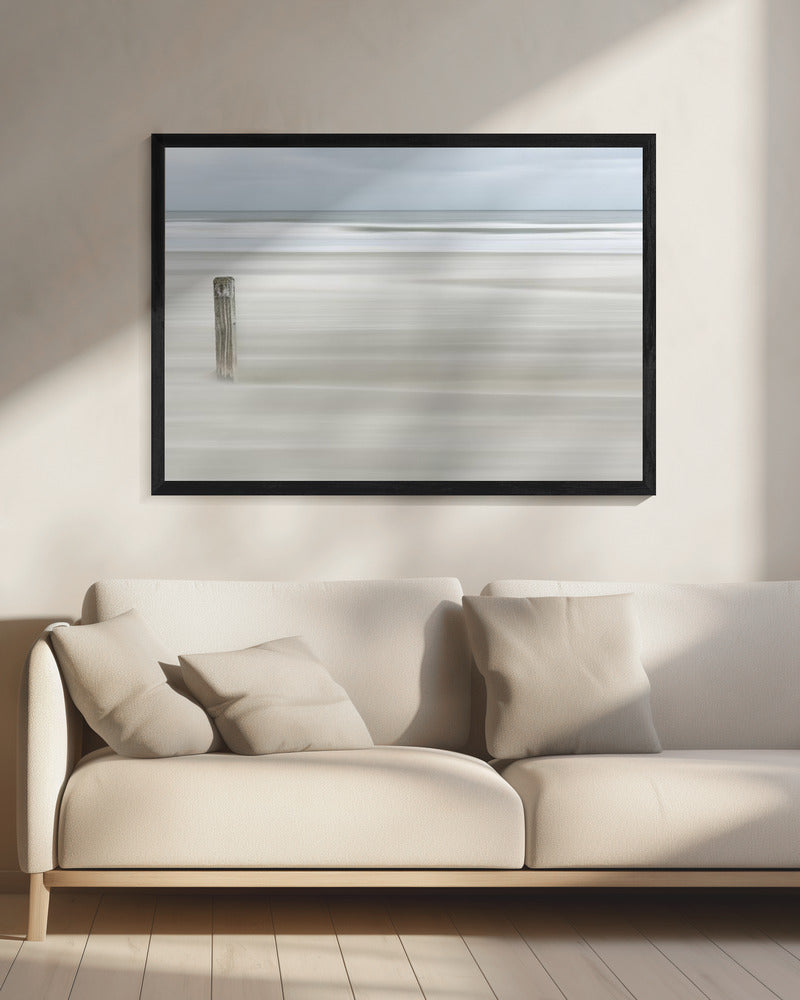 Steadvast | Canvas