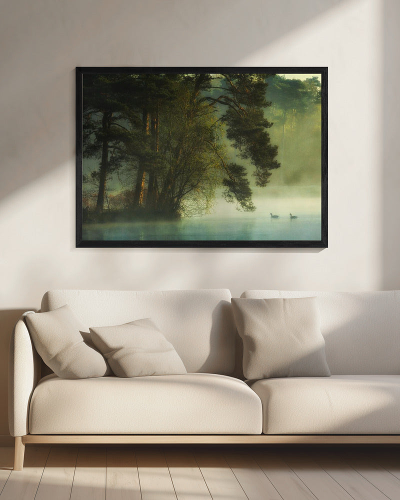 Hollands ven | Canvas