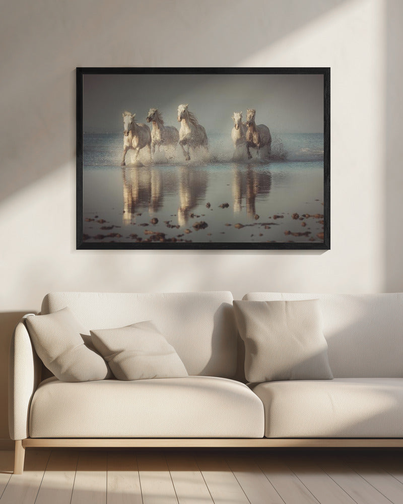 Camargue-paarden | Canvas