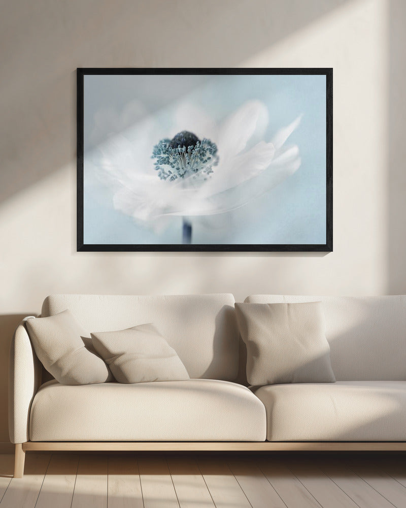 Candy floss | Canvas