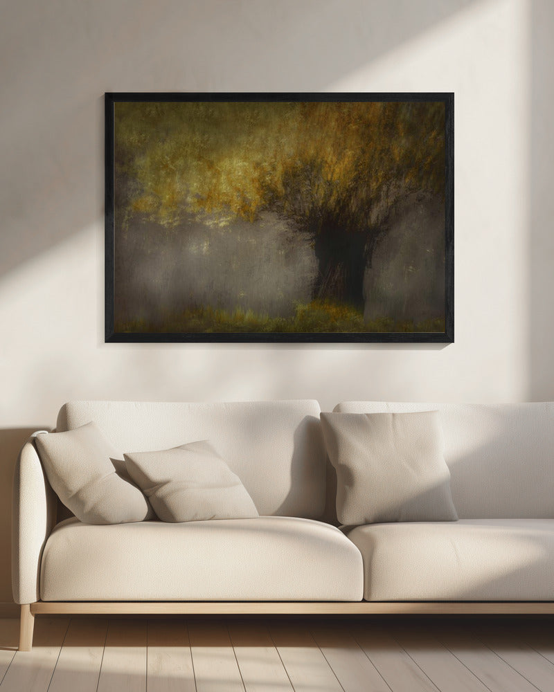 Knotwilg | Canvas