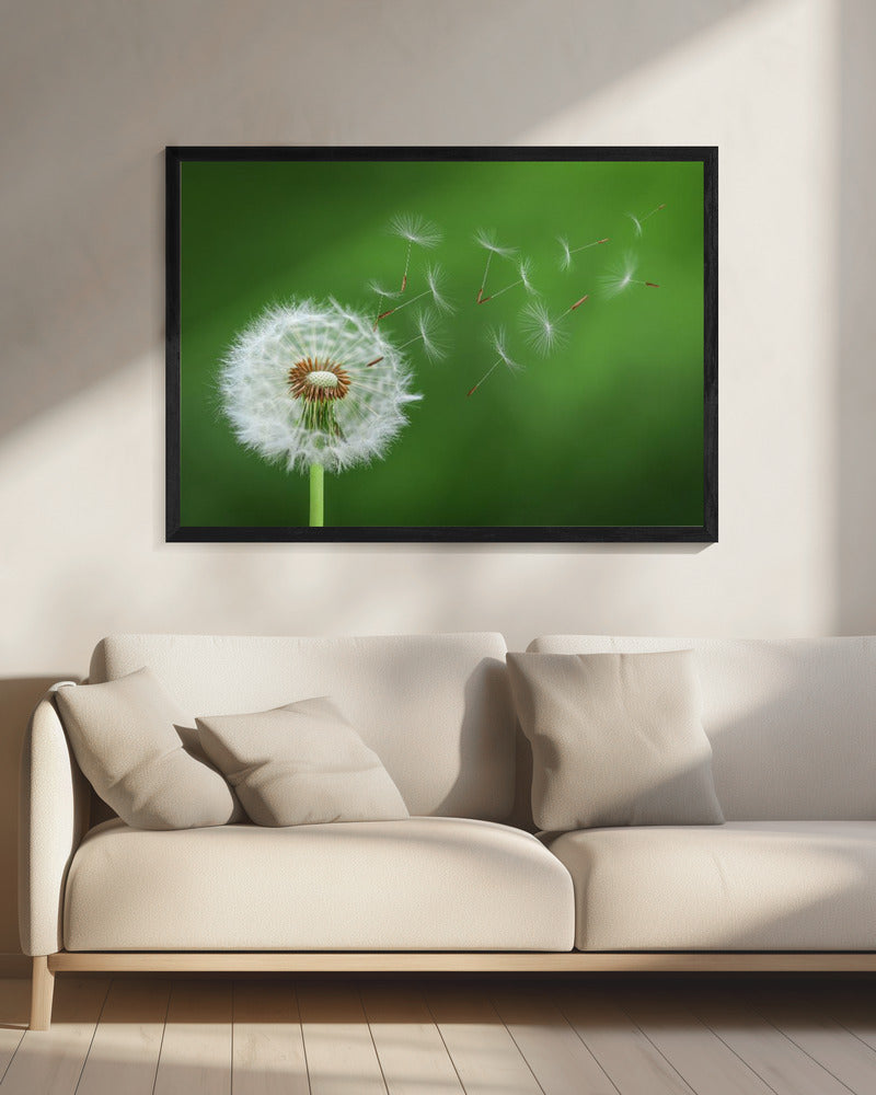 Paardenbloem waait | Canvas