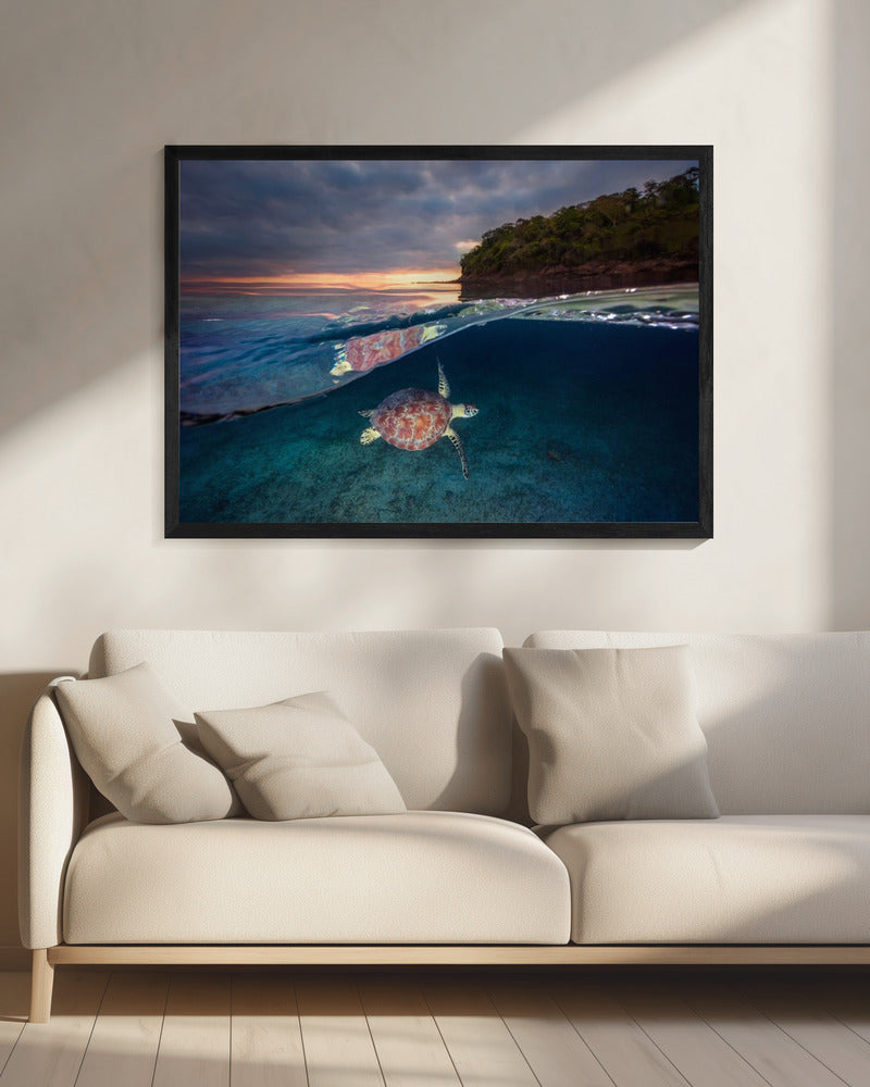 Groene schildpad met zonsondergang | Canvas