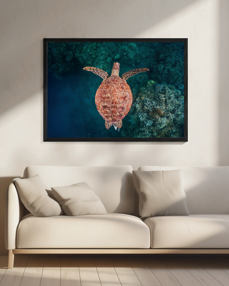 Vliegen over het rif | Canvas