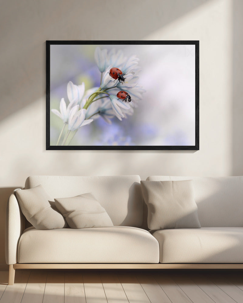 Lieveheersbeestjes | Canvas