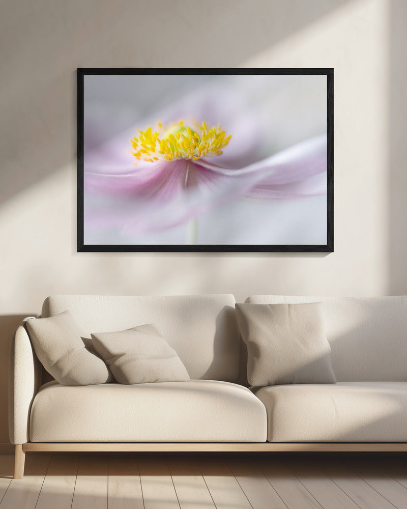Anemoon | Canvas